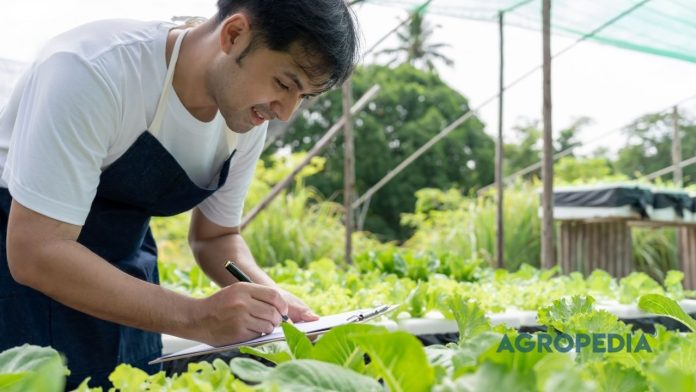 pembukuan-kebun-pertanian Ilustrasi pembukuan sederhana untuk usaha pertanian