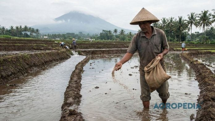 emisi-sawah-pupuk-lahan lahan sawah dengan aktivitas pemupukan dan pengelolaan air