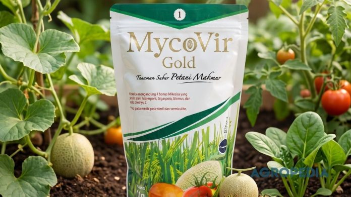 bedah-tuntas-mycovir-gold Ilustrasi kehebatan MycoVir Gold yang diaplikasikan langsung pada lubang tanam untuk melipatgandakan jangkauan serapan akar tanaman.