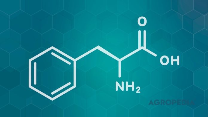 efek-elisitor-priming-effect-imunitas-tanaman Grafis mikroskopis yang menunjukkan bagaimana biostimulan elisitor memicu sistem pertahanan dan imunitas seluler pada daun tanaman.
