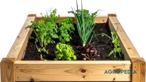 jarak-tanam-ideal-sayuran-daun-planter-bag Tampilan atas planter bag bundar berisi bibit pakcoy hijau yang ditanam dengan jarak yang rapi dan proporsional.