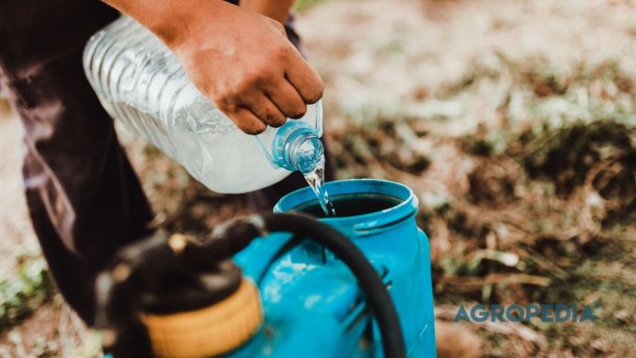 kesalahan-aplikasi-trichoderma Ilustrasi tata cara pembuatan larutan induk agen hayati trichoderma yang benar sebelum dimasukkan ke dalam tangki semprot pertanian.