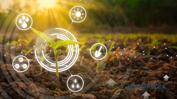 mengenal-total-crop-management-pertanian Ilustrasi sinergi perlindungan Total Crop Management yang mengamankan kesehatan daun dari hama serta membangun perakaran yang kuat di dalam tanah.