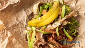 meracik-poc-rumahan-limbah-dapur Deretan botol plastik berisi cairan pupuk organik cair (POC) hasil fermentasi kulit pisang dan air cucian beras yang diletakkan di teras.