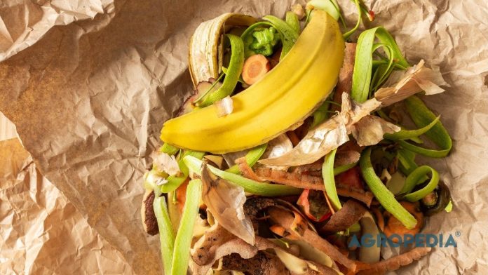 meracik-poc-rumahan-limbah-dapur Deretan botol plastik berisi cairan pupuk organik cair (POC) hasil fermentasi kulit pisang dan air cucian beras yang diletakkan di teras.