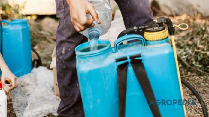sop-aplikasi-rotasi-tank-mix-kocor Seorang petani sedang mempraktikkan pencampuran agen hayati dengan biostimulan menggunakan metode tank-mix yang benar di dalam ember larutan.