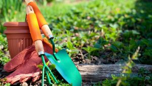 starter-kit-berkebun-di-rumah-alat-esensial Berbagai peralatan dasar berkebun seperti sekop kecil, sarung tangan, botol semprot, dan gunting pangkas tersusun rapi di sebelah pot tanaman.