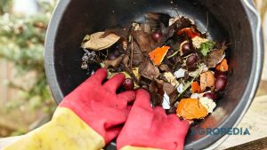 tong-kompos-bokashi-rumahan-tanpa-bau Sebuah tong kompos bokashi plastik tertutup rapat yang dilengkapi keran di bagian bawahnya, diletakkan di sudut dapur yang bersih.