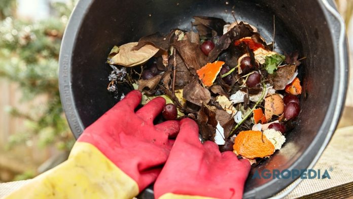 tong-kompos-bokashi-rumahan-tanpa-bau Sebuah tong kompos bokashi plastik tertutup rapat yang dilengkapi keran di bagian bawahnya, diletakkan di sudut dapur yang bersih.