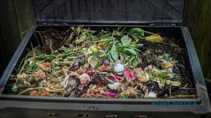 zero-waste-gardening-kompos-dapur-emas-hitam Seseorang memasukkan sisa potongan sayuran segar dan kulit buah ke dalam tong kompos tertutup yang rapi di sudut teras rumah.