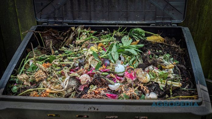 zero-waste-gardening-kompos-dapur-emas-hitam Seseorang memasukkan sisa potongan sayuran segar dan kulit buah ke dalam tong kompos tertutup yang rapi di sudut teras rumah.